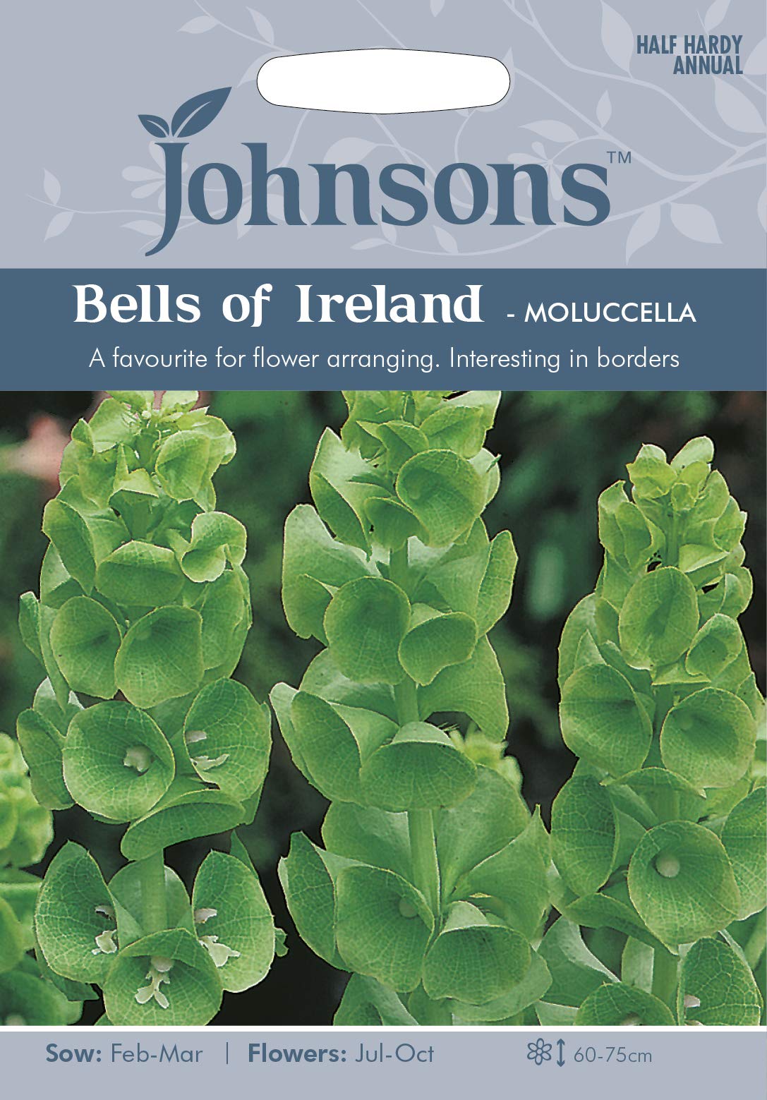 Johnsons 21085 Flower Seeds, Bells of Ireland-Moluccella, Green