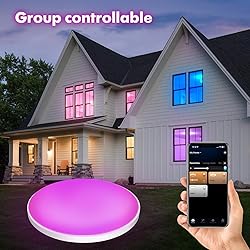AMKI Smart RGB Ceiling Light Flush Mount