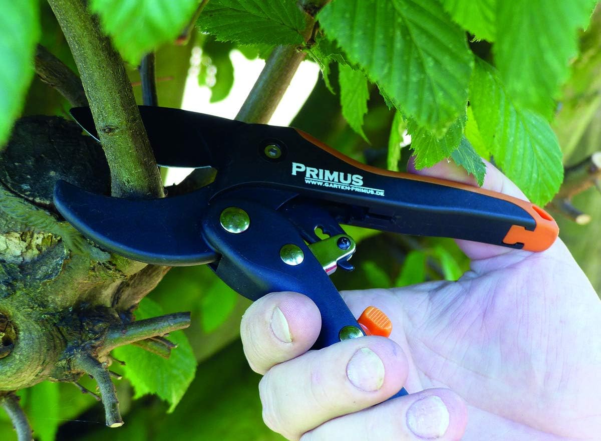 Amazon Com Primus Garten 01015 Women S Secateurs Garden Shears Black Orange 18 X 6 2 X 1 9 Cm Garden Outdoor