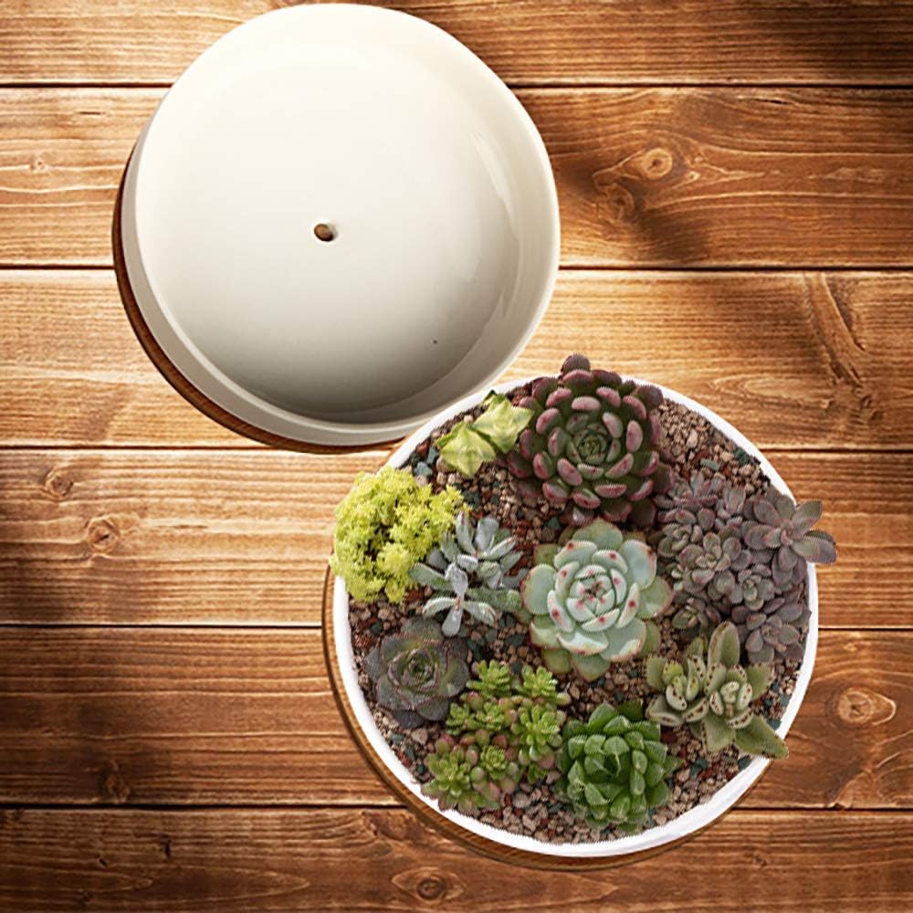 ZOUTOG Succulent Pots, 6 inch White Ceramic Flower Planter Pot with Bamboo Tray, Pack of 2 - Plants Not Included: Home & Kitchen
