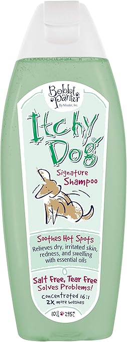 why does my puppy eat grass