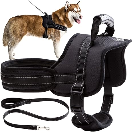 Amazon.com : Mihachi Dog Harness with Leash with Handle No Pull No