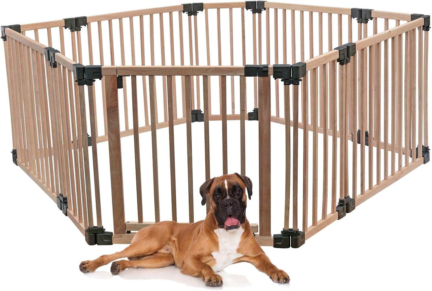 the range dog pen