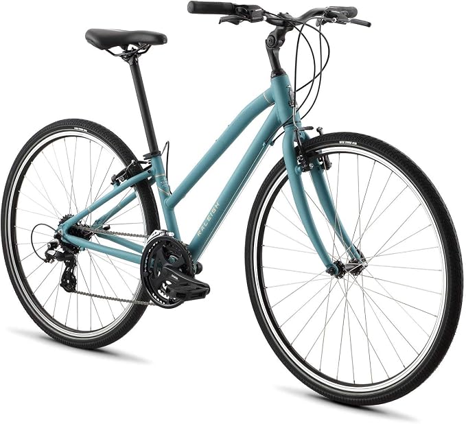 Raleigh Bikes Detour 2 XS