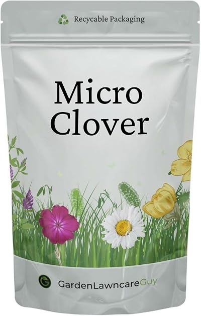 Garden Lawncare Guy Micro Clover Seed UK Pipolina 100 200m2 Ground Cover