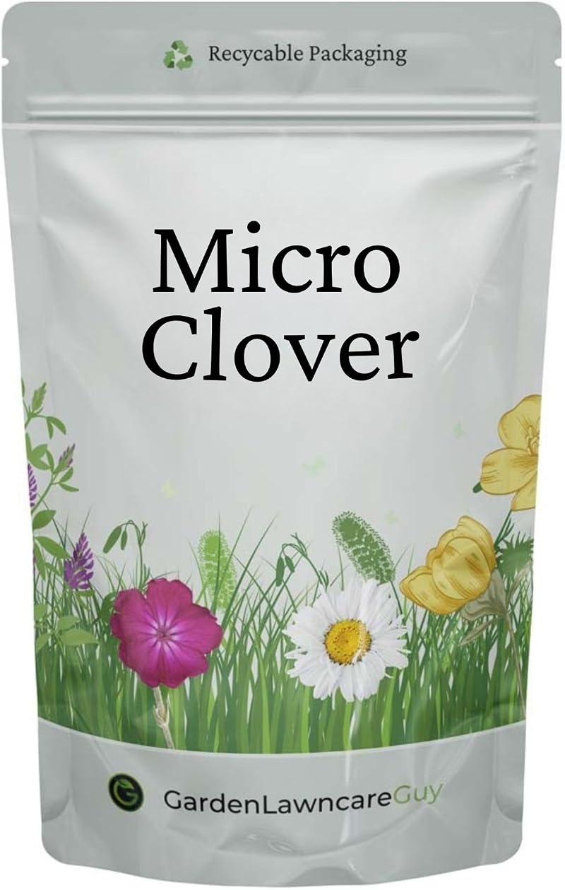 Garden Lawncare Guy Micro Clover Seed UK Pipolina 100 200m2 Ground Cover