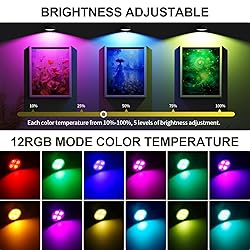 3 Pack Picture Lights for Wall, 13 RGB Color