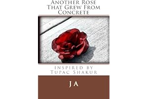 Another Rose That Grew From Concrete