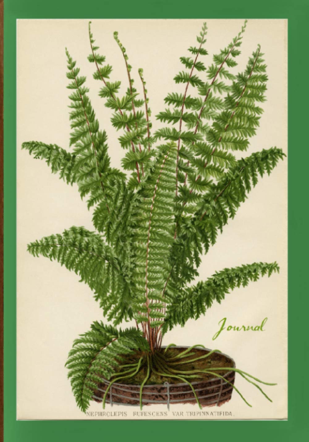 Journal: Vintage Fern Botanical Print Cover, Lined Notebook, 7"x10"/B5 size
