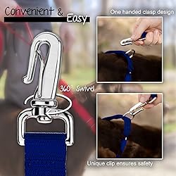 Country Brook Petz - Deluxe Nylon Dog Leash with