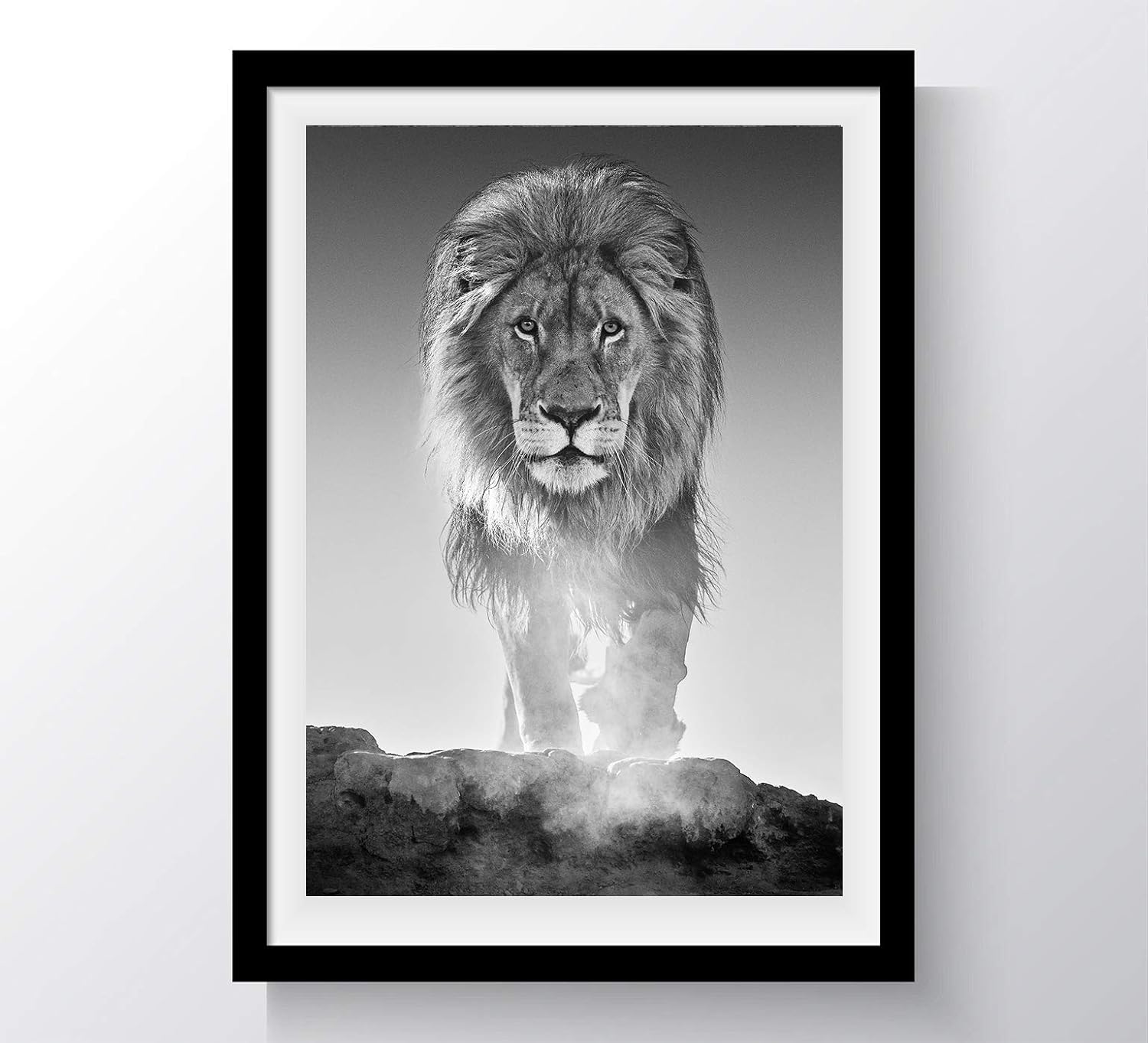 Amazon Com David Yarrow The Old Testament Lion Africa Animals