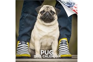 MEGACALENDARS 2024 2025 Pug Calendar - Dog Breed Monthly Wall Calendar - 12 x 24 Open - Thick No-Bleed Paper - Giftable - Academic Teacher's Planner Calendar Organizing & Planning - Made in USA