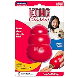 KONG Classic Stuffable Dog Toy - Fetch & Chew Toy
