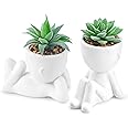 Der Rose 2 Pack Fake Plants Succulents Plants Artificial for Living Room Home Bathroom Office Decor