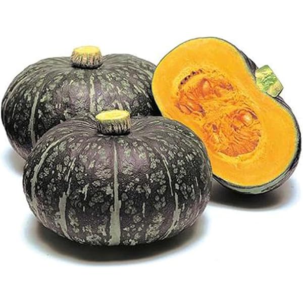 Amazon.com: Local Kabocha Squash : Grocery & Gourmet Food