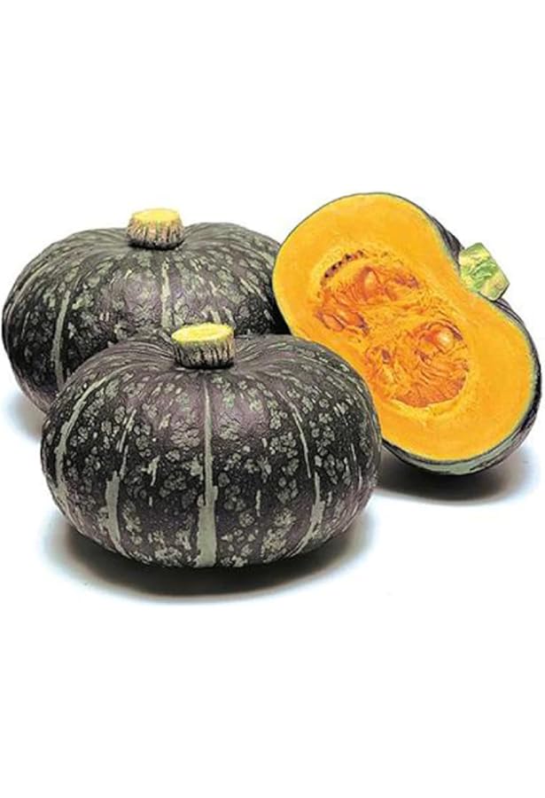 【kabochan様ご予約】 Squash – Kabocha | Sunset Farm by Jordan Ranch
