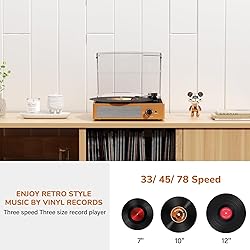 Vinyl Record Player with 2 Stereo Speakers