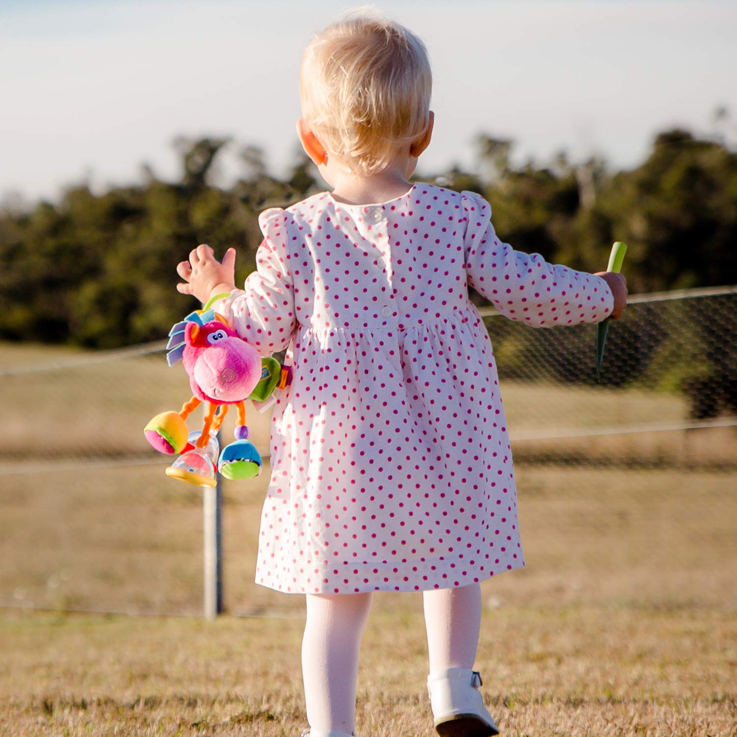 activity rattle clip clop