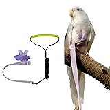 Pet Parrot Bird Harness Leash Adjustable Bird