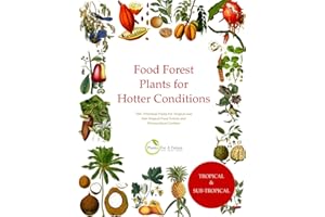 Food Forest Plants for Hotter Conditions: 250+ Perennial Plants For Tropical and Sub-Tropical Food Forests and Permaculture G