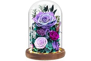 Dsuto Forever Fresh Rose Flower Bouquet in Glass Dome, Preserved Purple Flowers for Delivery Prime - Ideal Gift for Women, Mom, Grandma and Wife on Birthdays, Anniversaries, Mother's Day & Christmas