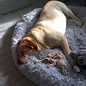 Sunnykud Donut Haustierbett - Rundes Plüschbett Für Hunde & Katzen Mit Wasserfester Unterseite