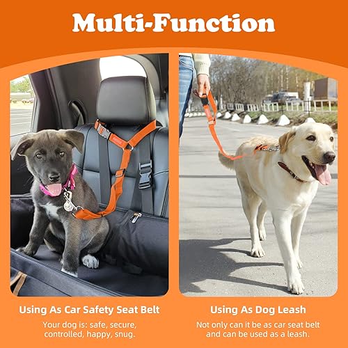 Pet Supplies Dog Seatbelt Harness Amazon Pet Supplies, Pet Dog