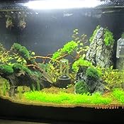 Aquarium pumpe eheim