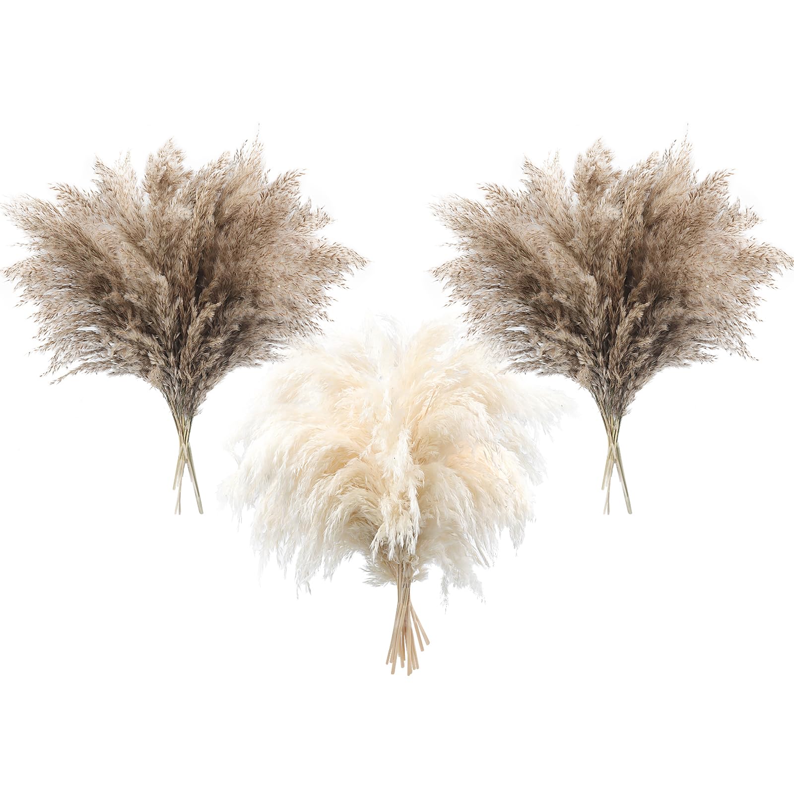 Songjum 36 PCS Pampas Grass Boho Decor Fluffy Pompas Grass Natural Dried Pampas Grass Small Short Pampass Bulk for Boho Home Decor Wedding Decor Table Decor （24pcsNatural+12pcs White）