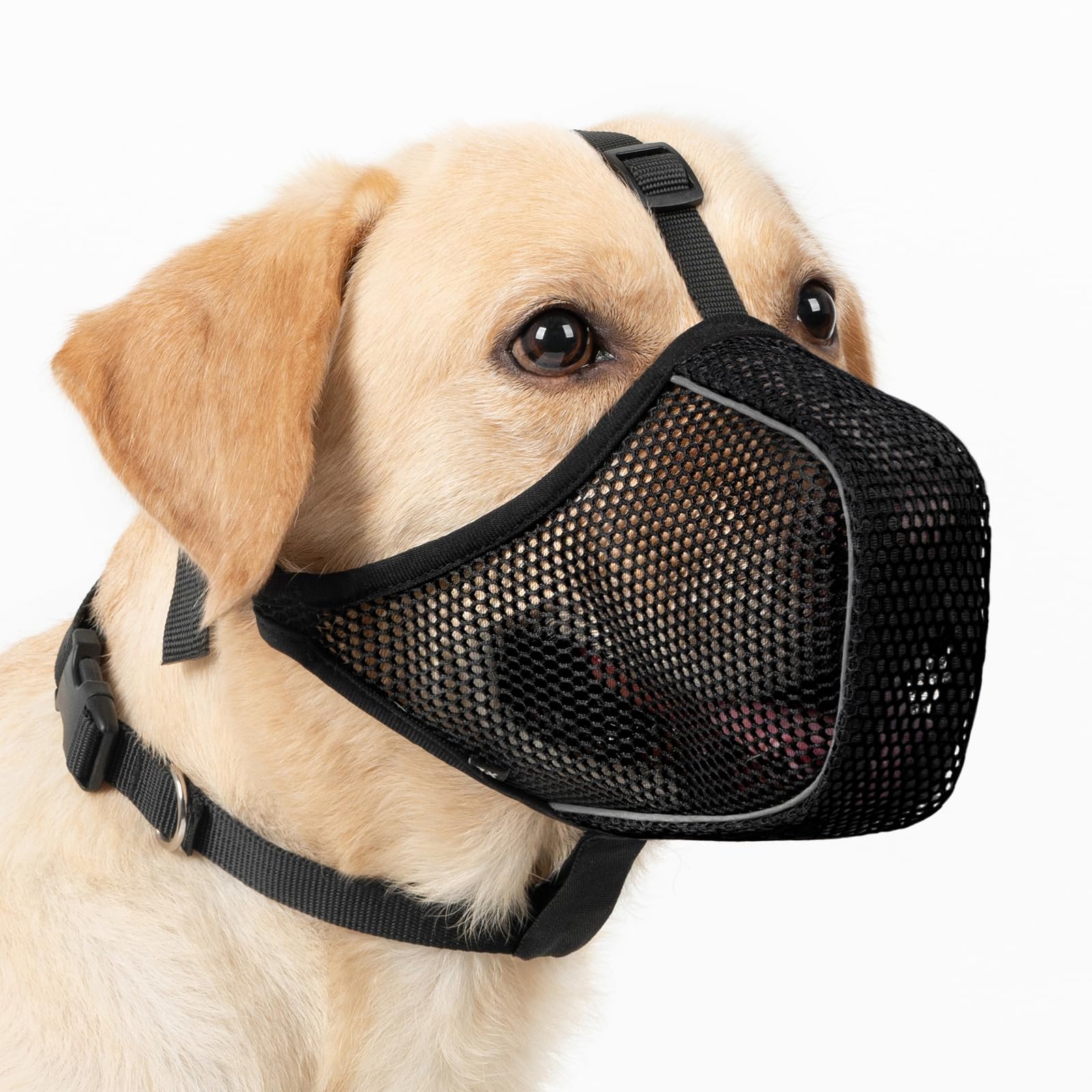 Photo 1 of Mayerzon Dog Muzzle, Patented Mesh Soft Muzzles for Large Medium Small Dogs Poodle Husky Doberman Labrador Retriever for Scavenging Grooming Biting Chewing, Breathable Reflective Mussel with Collar