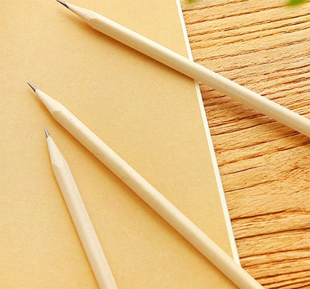 Fablcrew Lot De 20pcs Crayon De Bois Hb Naturel Crayon A Papier Pour Enfant Papeterie Bureau Scolaire Crayons Ecriture