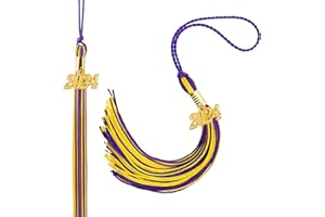 KQNBI 2024 Graduation Tassel, 2024 Tassel Graduation, 2 PCS Graduation Tassel 2024, 2024 Graduation Cap Tassel with 2024 Year Gold Charm for Graduation Hat Graduation Decoration Class of 2024, Purple Gold