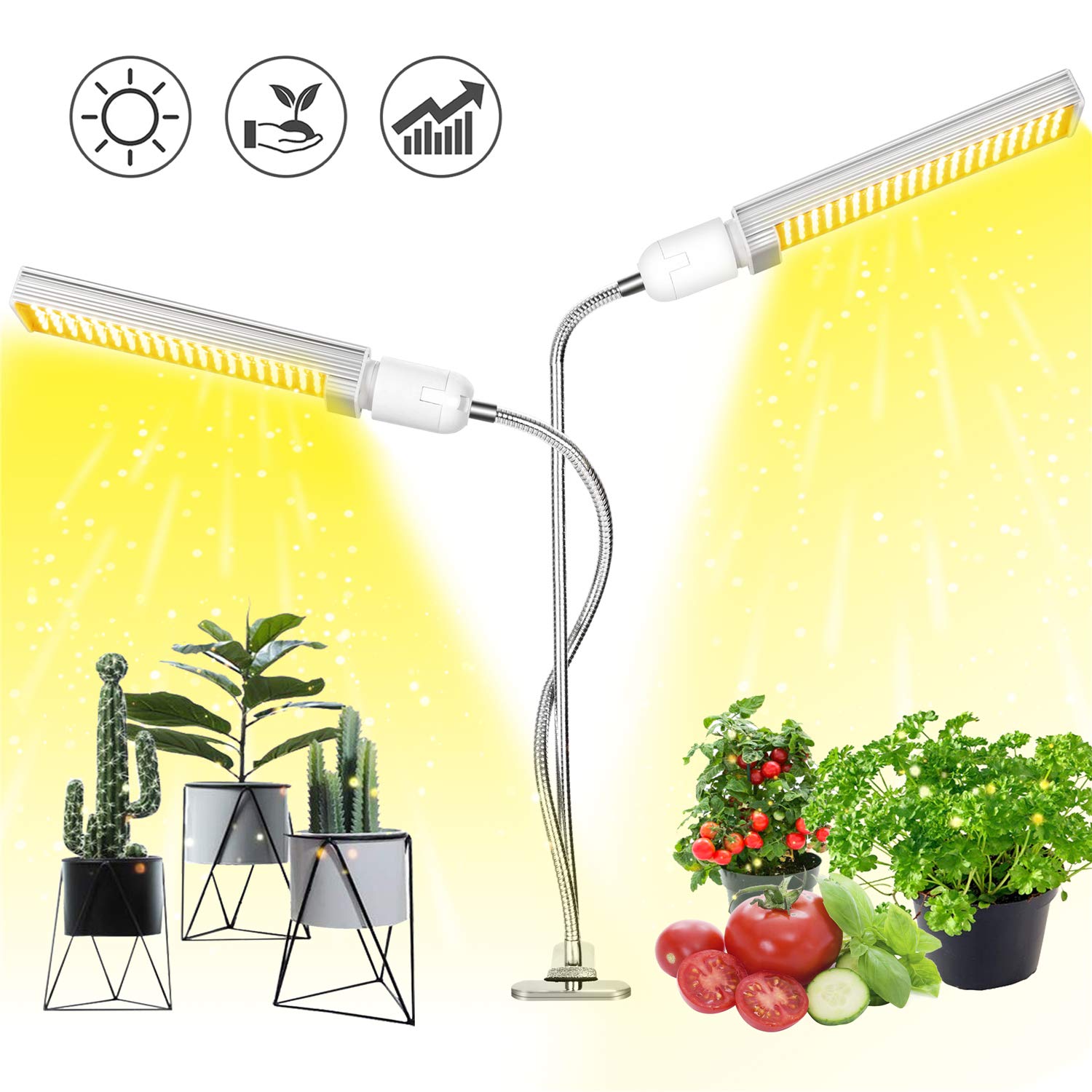 Best plant grow desk lamp Your House