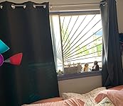 Review Image by Dana C. Gomez