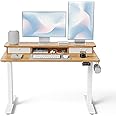 FEZIBO 48 x 24 Inch Height Adjustable Electric Standing Desk with Double Drawer, Computer Desk, Home Office Stand Up Table with 4 Height-Adjustable Feets & 2 Hooks, Light Rustic