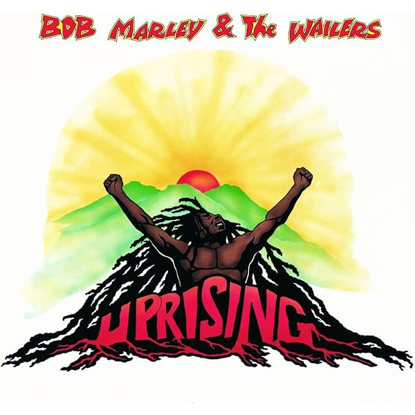 Natty Dread [Disco de Vinil]: Amazon.com.br: CD e Vinil