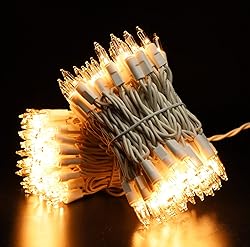 GLOWNOVA White Wire, Clear Incandescent Bulb 100