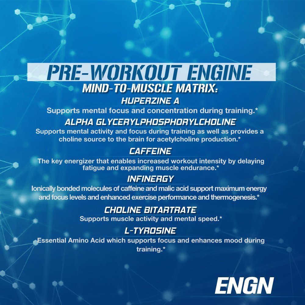 Evlution Nutrition ENGN PreWorkout, PikatropinFree, 30 Servings