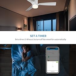 SMAAIR 52 Inch Smart Ceiling Fan with Lights and
