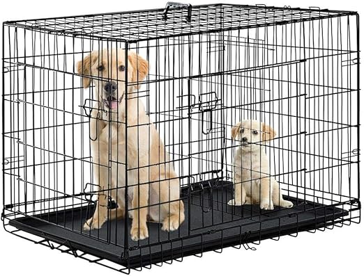 dog kennel for 2 dogs