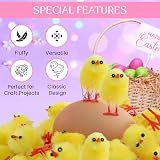 REDS TAR Pack 30 Fluffy Yellow Easter Chicks - 2.5cm Mini Chick Decor view 3