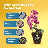 Grow Buddha Orchid Potting Mix 2L - Fast Growth, Strong Roots view 5