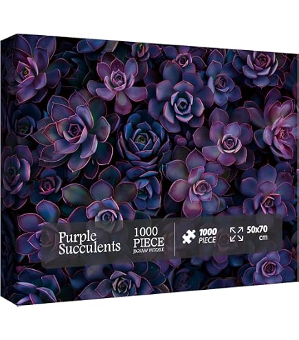 Sukkulenten Puzzle 1000 Teile Für Erwachsene – Lila Zimmerpflanzen Motiv, 60,7x60,7 Cm, Mit Poster