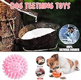 Speedy Panther 10Pcs Dog Toys Set Small Dogs Squeaky Plush Teething Rope Ball view 5