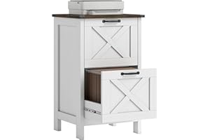 HOMCOM 2 Drawer File Cabinet with Silent Slides, Rustic Farmhouse Filing Cabinet with Barn Doors for A4/Letter Size, Printer 