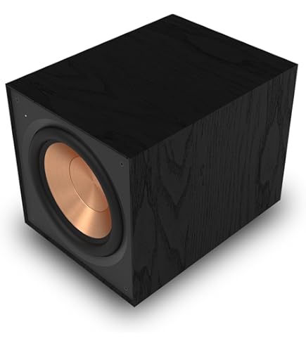 Amazon.com: Klipsch Reference Wireless RW-100SW Subwoofer, Black