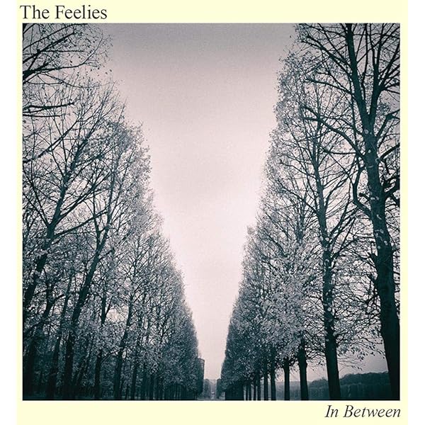 The Mary Onettes - The Mary Onettes - Amazon.com Music