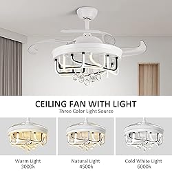 DLLT 40W Ceiling Fan with LED Lights, 42 Inch