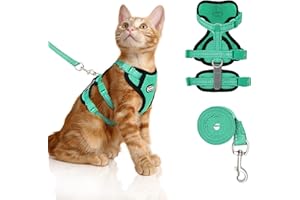PAWFUN Cat Harness for Walking, Escape Proof Cat Harness and Leash Set with Reflective Strip, Adjustable Cat Leash Breathable Soft Vest for Small to Large Cats, Green, M
