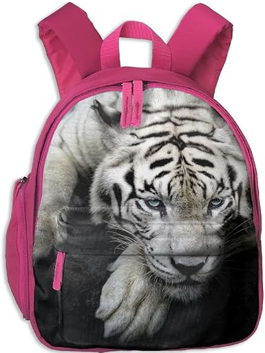 camping backpack singapore